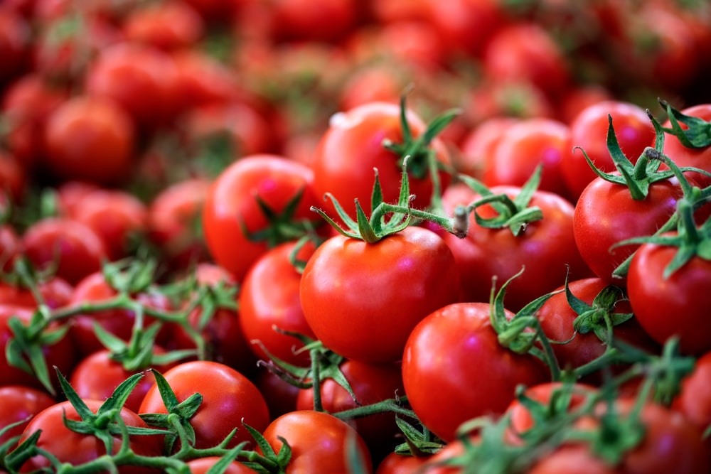Tomatoes